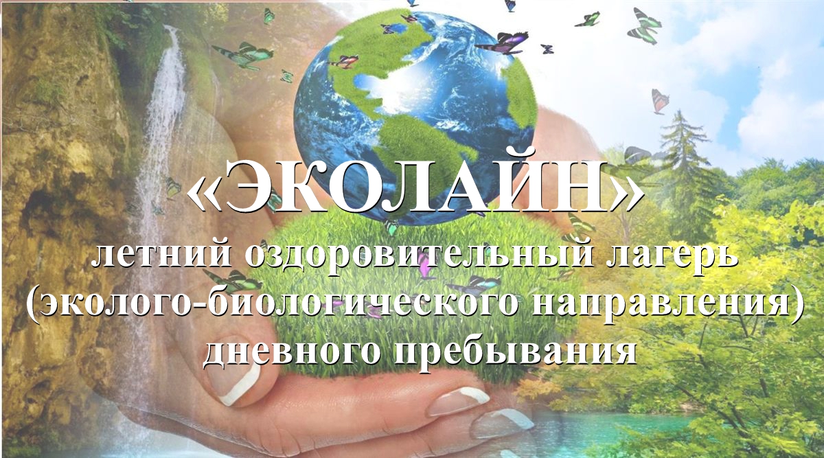 EcolineBig pint2